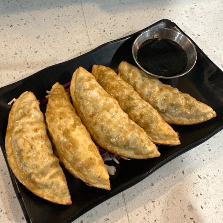 Savor Our Vegetable Gyoza